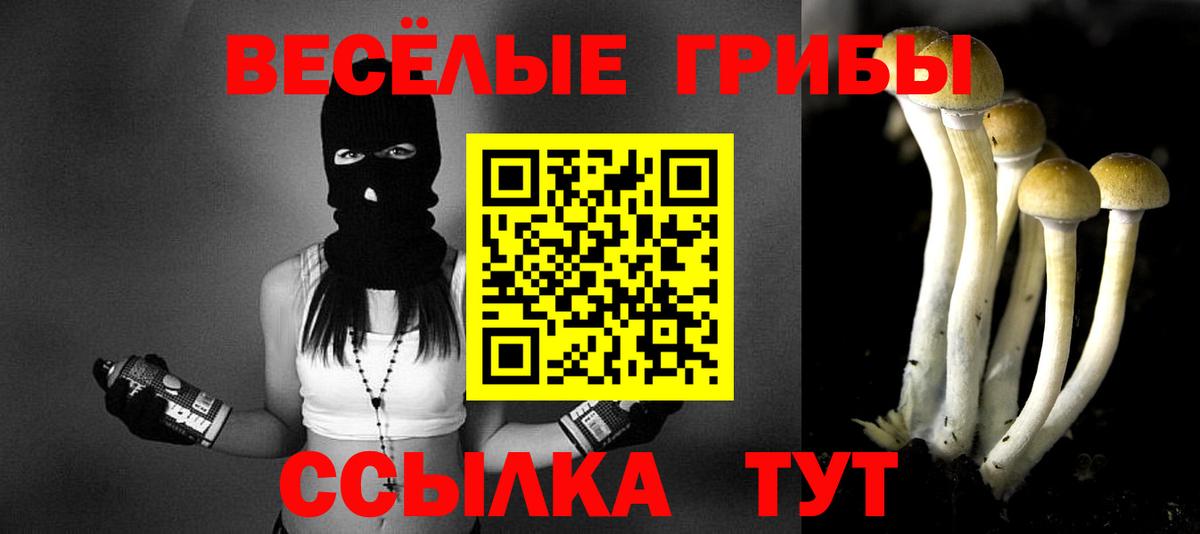 где продают   Вход с VPN  Северск  Галлюциногенные грибы прущие грибы 
